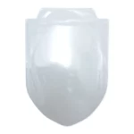 Gagliardetto a scudo personalizzato, modello 22. Foto della busta trasparente in PVC.